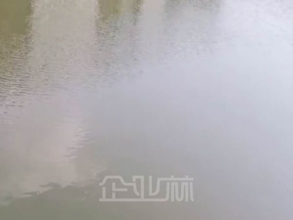 占地8000平方米，12亩地，厂房出售或出租