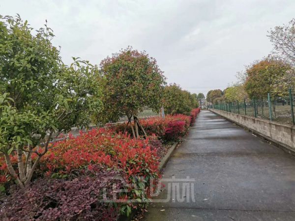 厂房正门图
