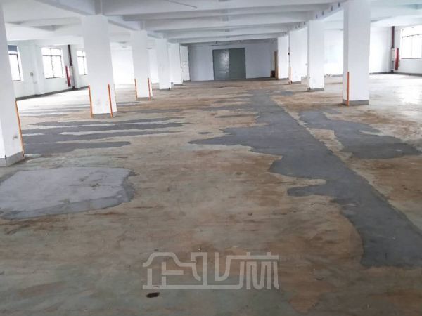 青浦工业区多层厂房出租面积8000平，大房东无公摊，还有空地可以报建