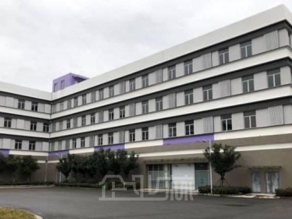 南通通州湾10000平独栋多层厂房对外出租    租金6元/月/平米