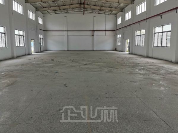 泗泾独门独院4340平单层标准厂房对外出售 报价12800元/平米