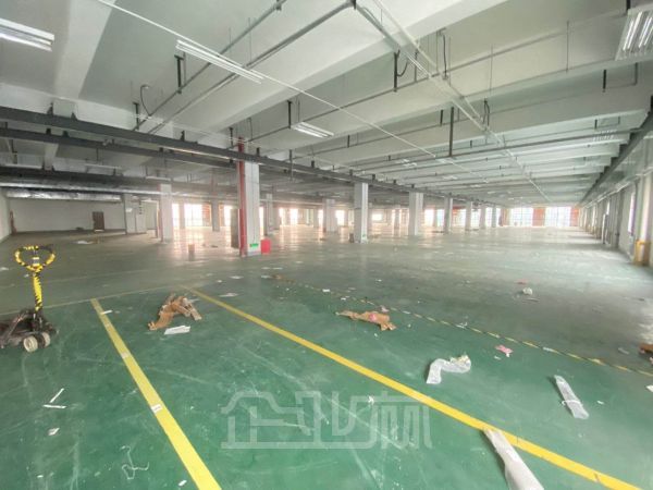 苏州工业园区湖东45000平单层多层厂房分割出租