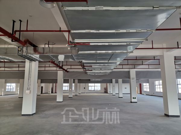 吴中区越溪厂房出租1200-2500