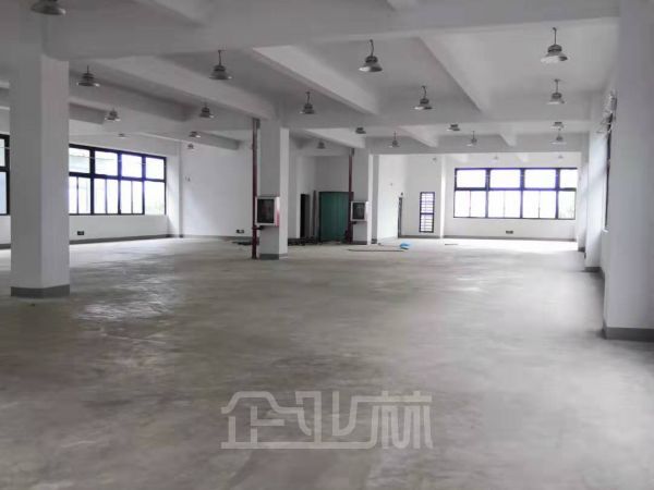 出租松江区新桥单层独栋厂房，可分割 104地块 丙类消防