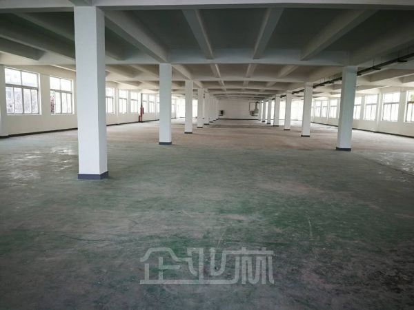 松江工业区独院双层厂房出租面积2000平，形象好，价格可谈