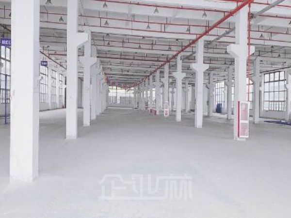 松江(新桥)104版块单层厂房5000平米  /可分割