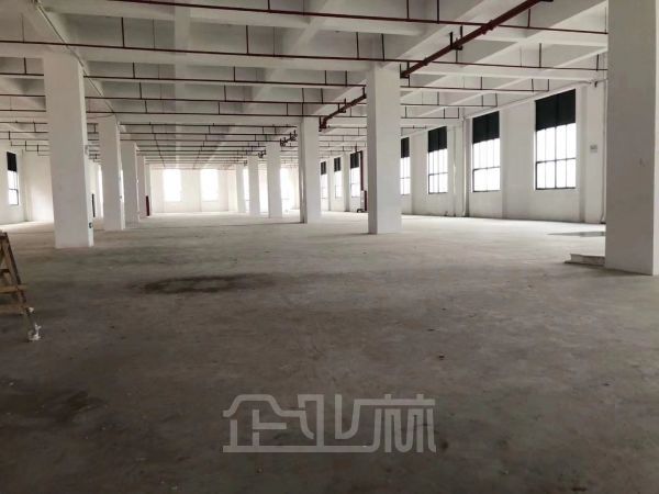 莘庄 8250平方米厂房出租   104板块 可环评 适合办公、研发、组装