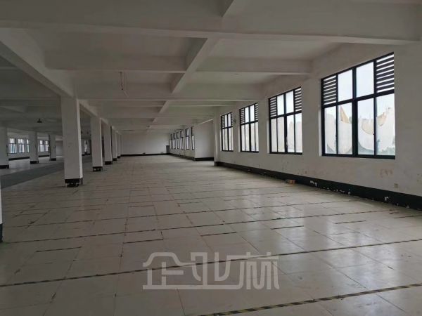 出租：上海金山区104板块多层厂房，最小300起租，可注册，可环评！！