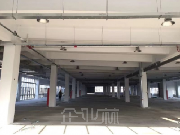 出租:太仓市多层双拼厂房1767-3600平,底层配10吨行车!!