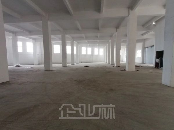 常州 4500平厂房出租  可环评