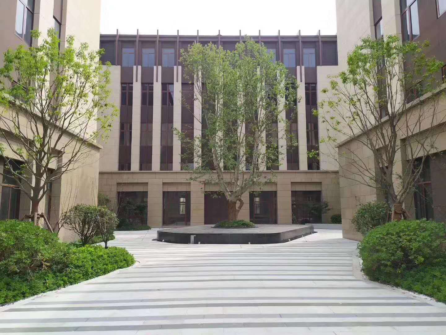 园区布局图