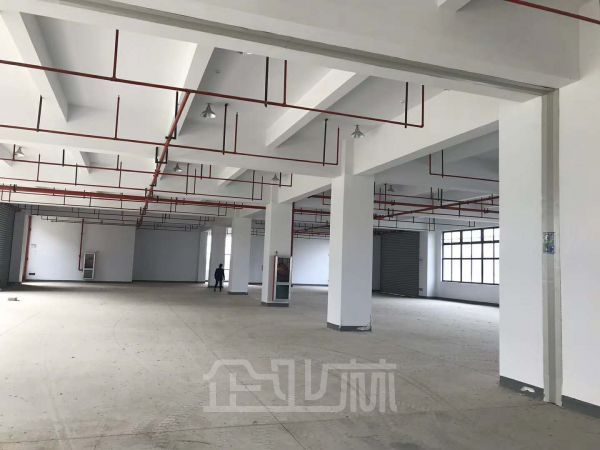 金山枫泾标准104地块厂房出租，产证齐全，可环评