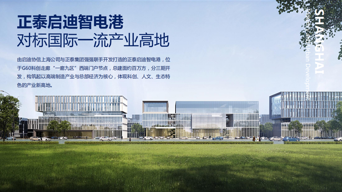 园区鸟瞰
