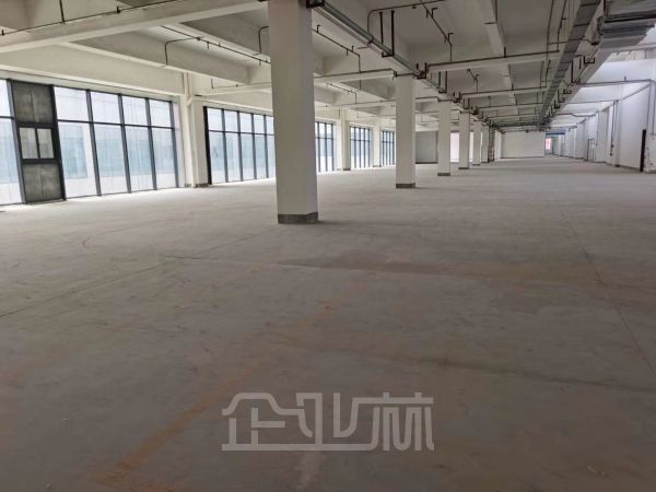 出租：上海松江新桥104地块企业办公研发写字楼，125平起租，通天然气，可环评可生产 ！