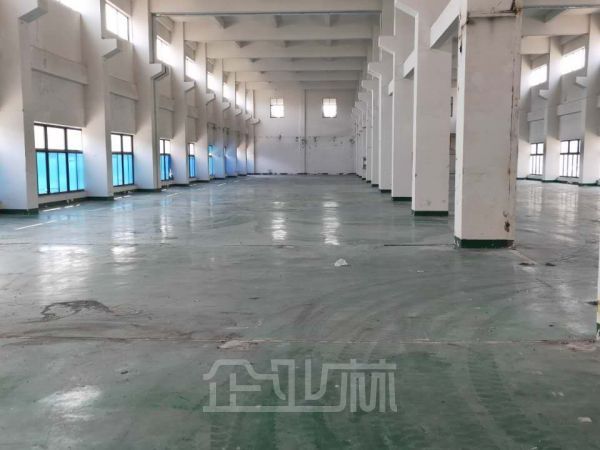 金山朱泾 出租2450平方米火车头厂房 104板块