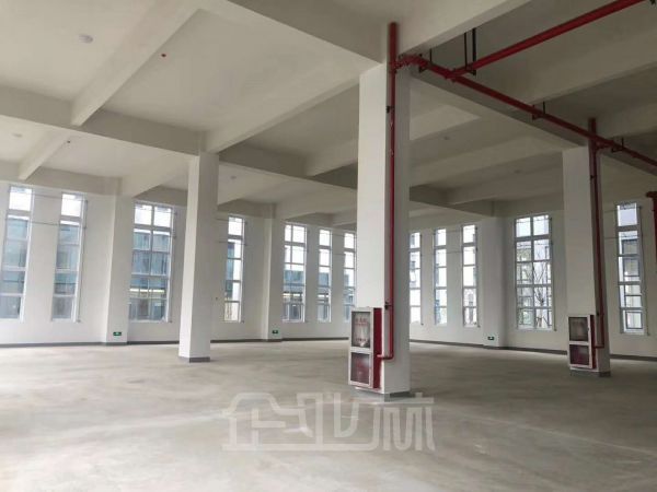 松江泗泾智能产业园出租500㎡~10000㎡