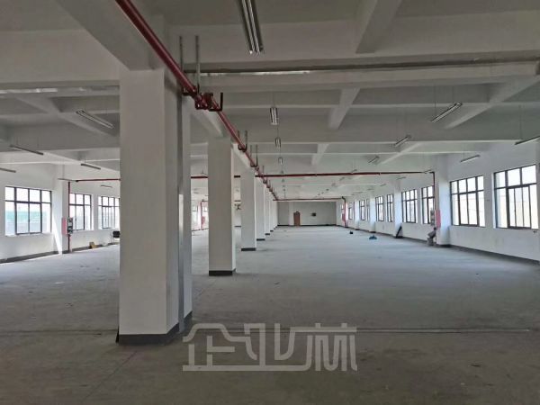 出租：上海松江G60科创走廊104地块500-5000平，无税收要求，价格可谈！