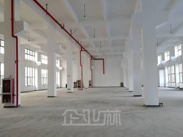 苏州吴江 出租20000平方米 三层厂房 独门独院