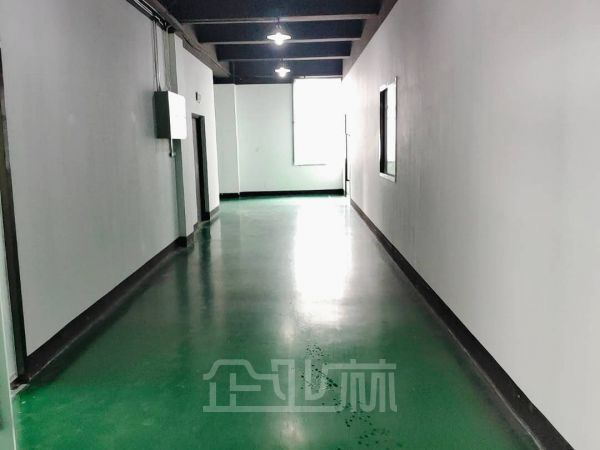 松江新桥 出租5800平方米多层厂房 可食品