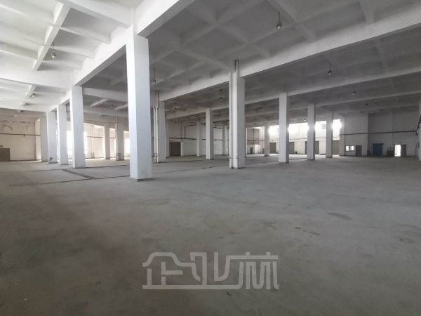 金山朱泾 出租10000平方米 双层厂房  104地块