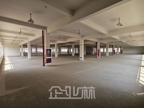 出租：杭州萧山区40000余方标准厂房，工业区用地，可做环评，可分割；