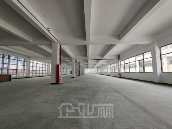 出租：​嘉兴科技城独栋研发办公厂房6341.46平！！
