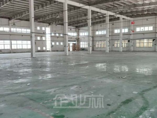 松江泖港单层一局二火车头厂房出租面积4800平，层高11米