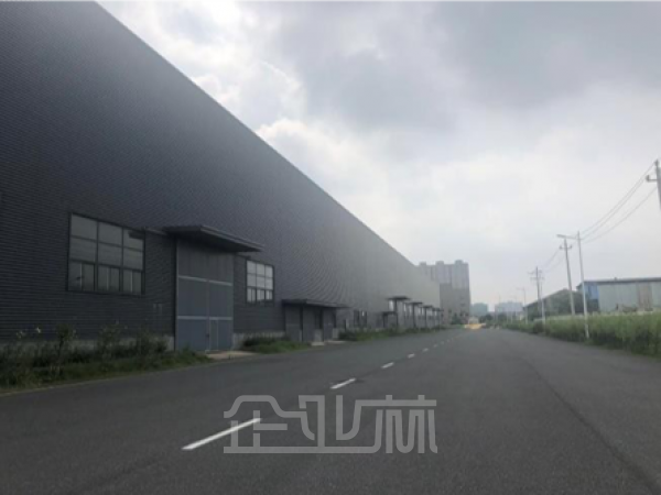 钢混结构单层厂房总建筑面积39595平 高度12米 带行车 可分租