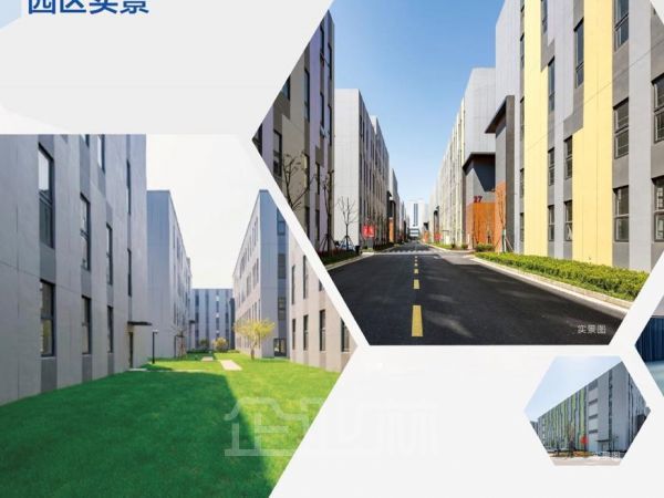 出租松江新桥独栋2400平三层办公研发厂房
