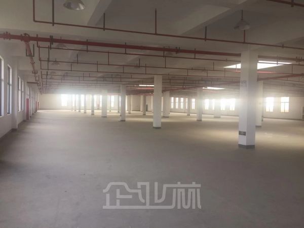 杭州城北1万多方厂房出租