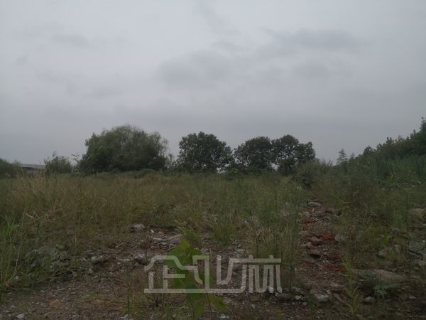 泰州兴化60亩工业土地