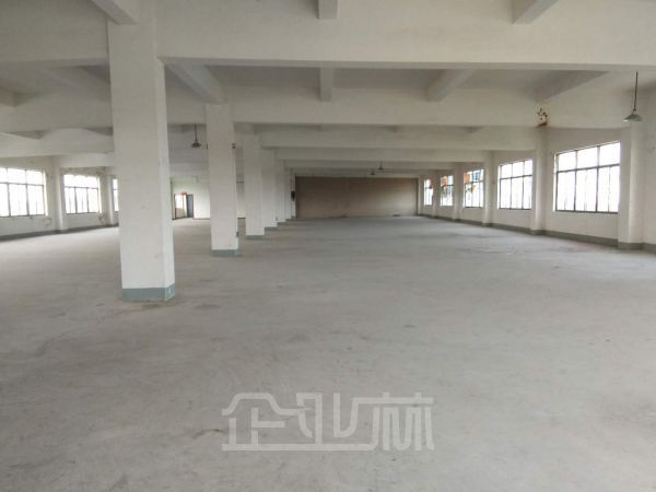 上海金山区亭林工业园内1200平厂房出租