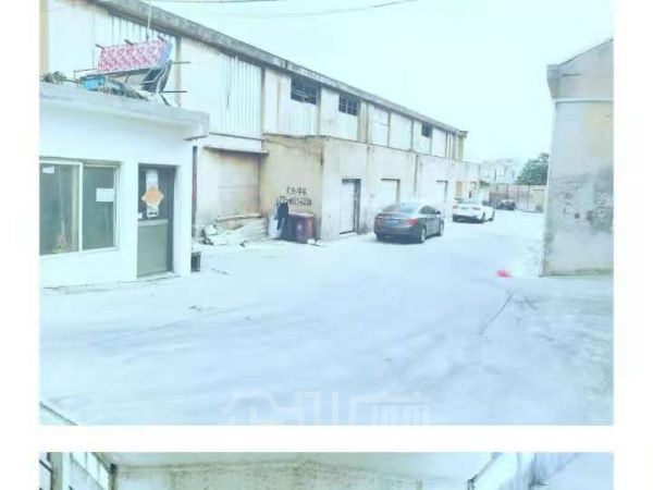 奉城洪庙（木托盘，道具无油漆行业）厂房出租