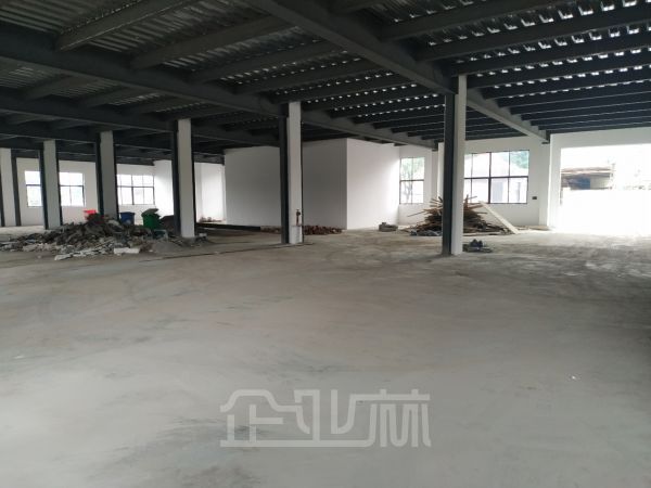 九亭临河办公 展厅展馆 研发楼 送装修 面积分割