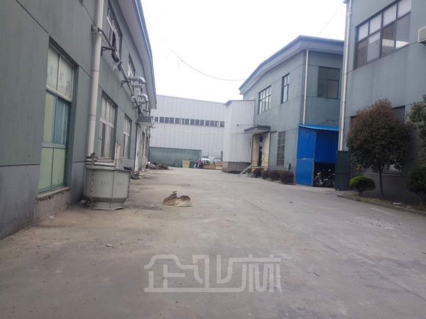 出租嘉定104地1000平厂房  可做木制品行业 空地大