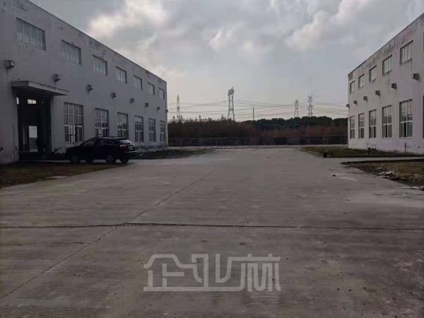 出租叶榭独门独院 单层厂房 高11米 空地大 5T行车