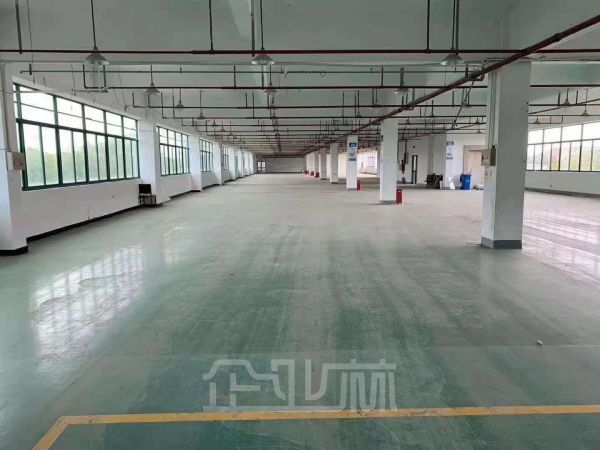 出租南汇104地综合园区 超长免租期 配套齐全 行业不限
