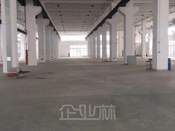 出租松江泗泾附近1500平底层高11米厂房