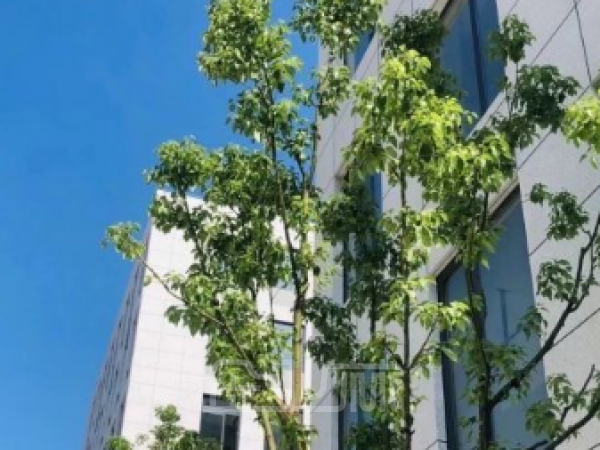 出售南通独栋高标准厂房 490-9870平大平层