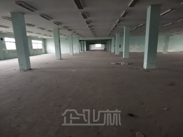 出租 青浦区宝丰路4800平厂房 通道宽 空地大 租金低至0.9元