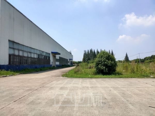 新浜独院全单层厂房20000平出租 空地20亩