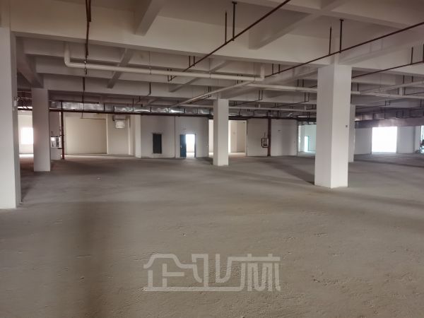 出租 松江车墩9500平厂房 自由分割 通道大 交通便捷 租金0.70起
