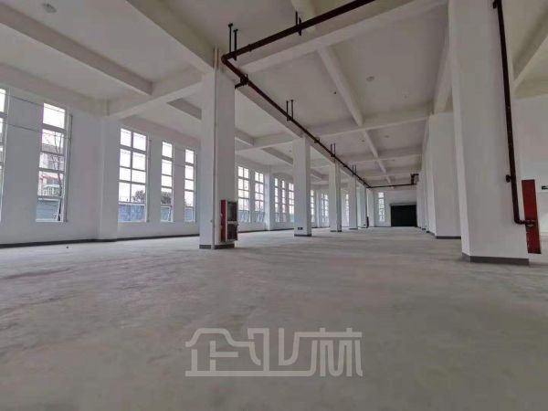 出租 嘉定外冈2400平独门独院单层厂房 104地块 ​通道宽敞 交通便利