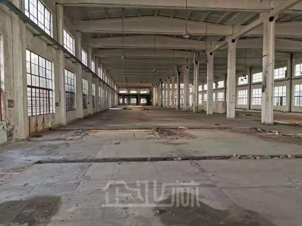 ​出租松江单层厂房 可做酒店展厅教育培训运动场馆等