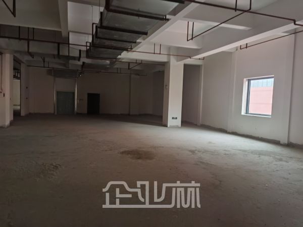 出租松江食品园区 配套齐全 有蒸汽燃气 排污房1000平