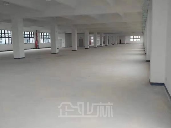 出租金山独栋厂房23000平 0.6元起 104地