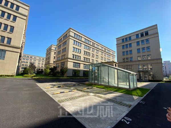 出租闵行独栋厂房40000平 大开发商项目 无公摊