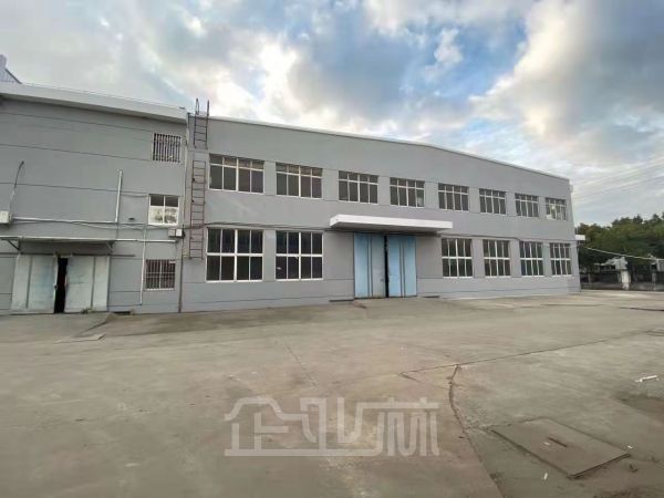出租洞泾5000平单层厂房 104地 可注册环评 环氧地坪
