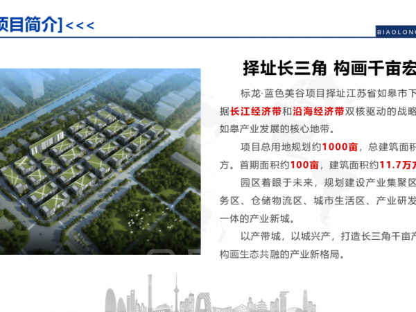 如皋标龙蓝色美谷工业园区，大产权可分割600-20000