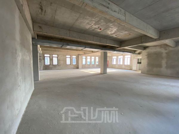 (园区直租)     闵行区颛桥全新厂房266平起